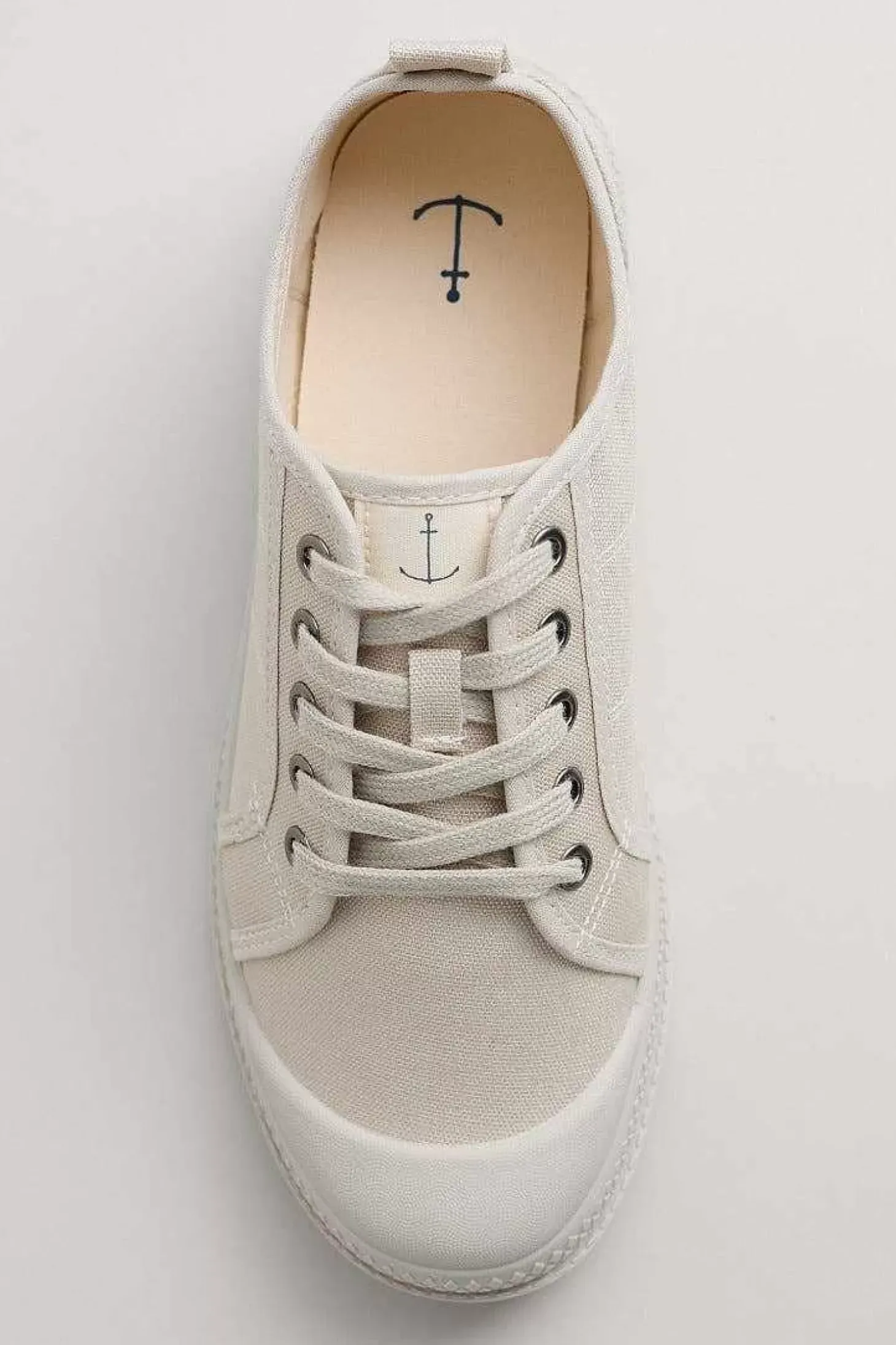 Meadowlark Trainers